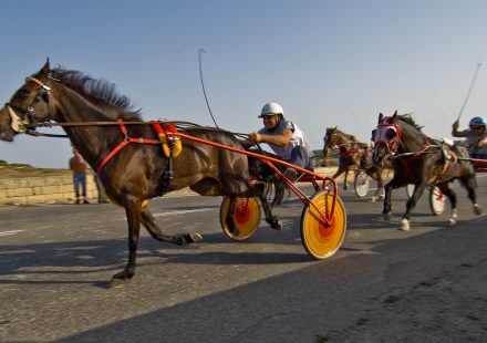 Driving Gozo Horse Racing - Xaghra