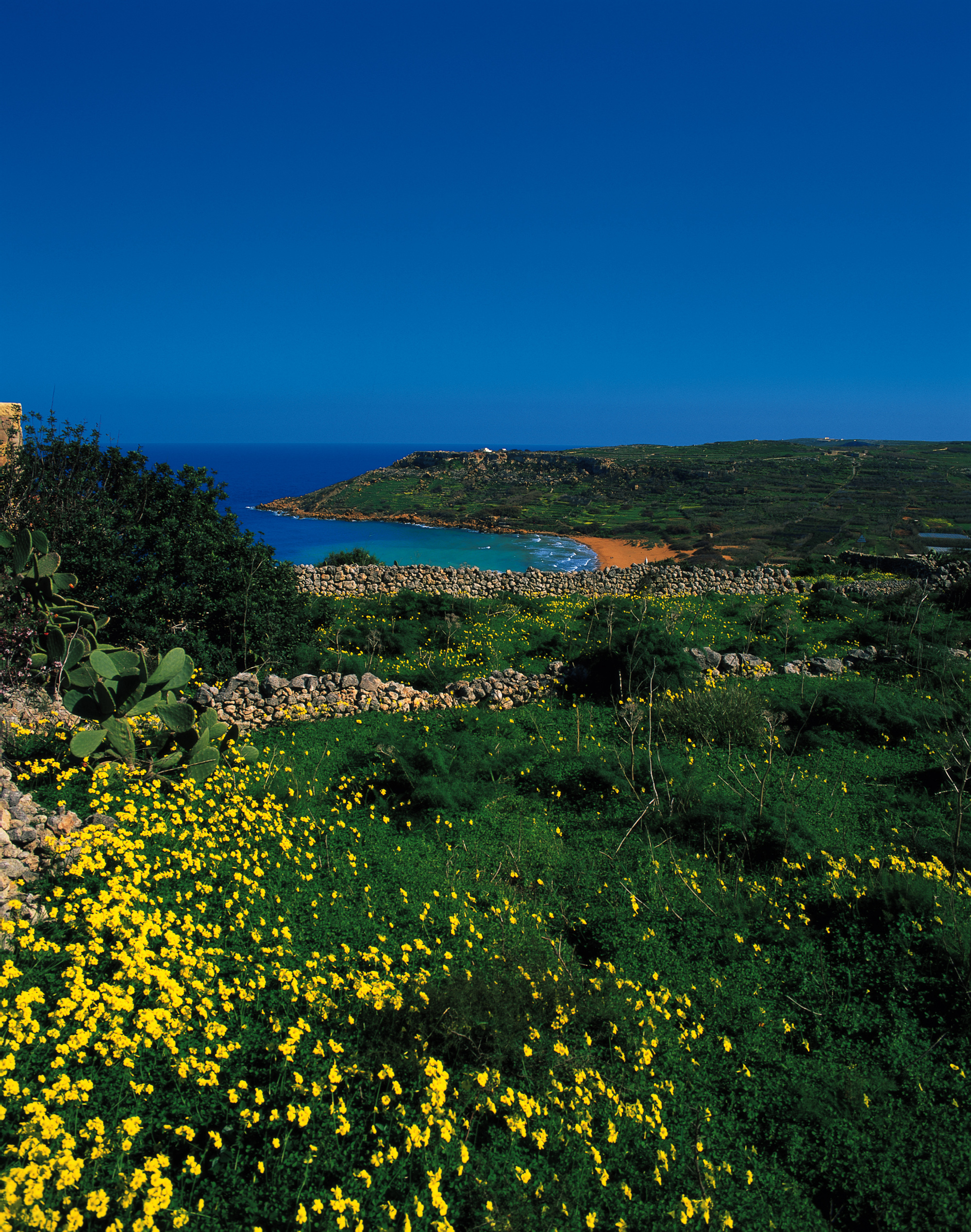 gozo-countryside-walk-beach-view